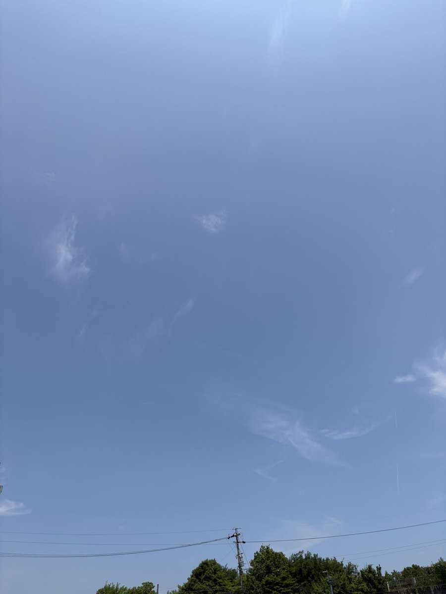 最近、低浮上気味ですが本日は7月唯一のフラシです！
楽しむぞー！