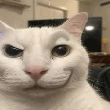 sasonado27's tweet photo. Te agarro el culo*
*te meto el pene*
*embestida*
*embestida*
*embestida*
*gimo y te pego*
*embestida*
*embestida*
*gimes pq mi pene es grande*
*embestida*
*embestida*
*súplicas por más y te llamo puto*
*embestida*
*embestida*
*me corro adentro tuyo*
*te abandono* https://t.co/Bo1UflQZ5U