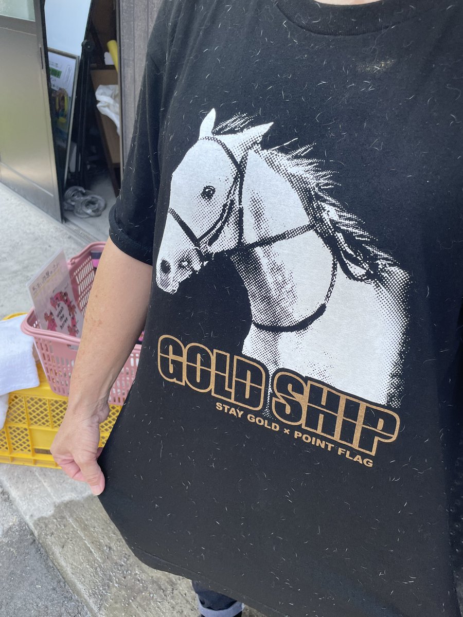 umanmapark's tweet image. 馬洗い体験!
体験後、お父さん(ゴールドシップ)のTシャツにハクシュの毛がびっしり!!なかなかレアですっ!!
#ハクシュ
#ゴールドシップ産駒