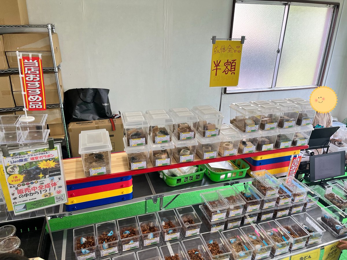 【昆虫ショップ 虫どん】ブース全成体半額！！！
鹿児島市小松原、Feel Beetleにて🤗

#昆虫ショップ
#虫どん
#鹿児島県
#キッズサポートリアン