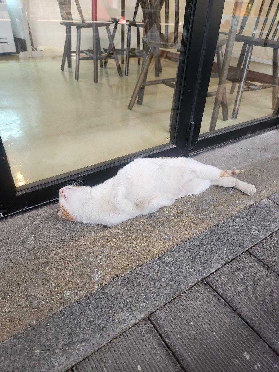 연어  재료소진으로 판매 종료되었습니다🙂‍↕️
다들 연어 좋아하시네요...?

연어는 ..
가격이 더...더... 떨어지면 돌아올 수도...?