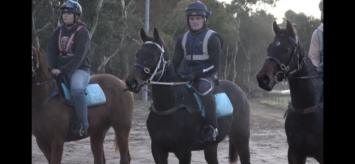 Richard McIntosh tweet media