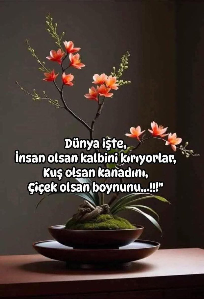 Sabaha not