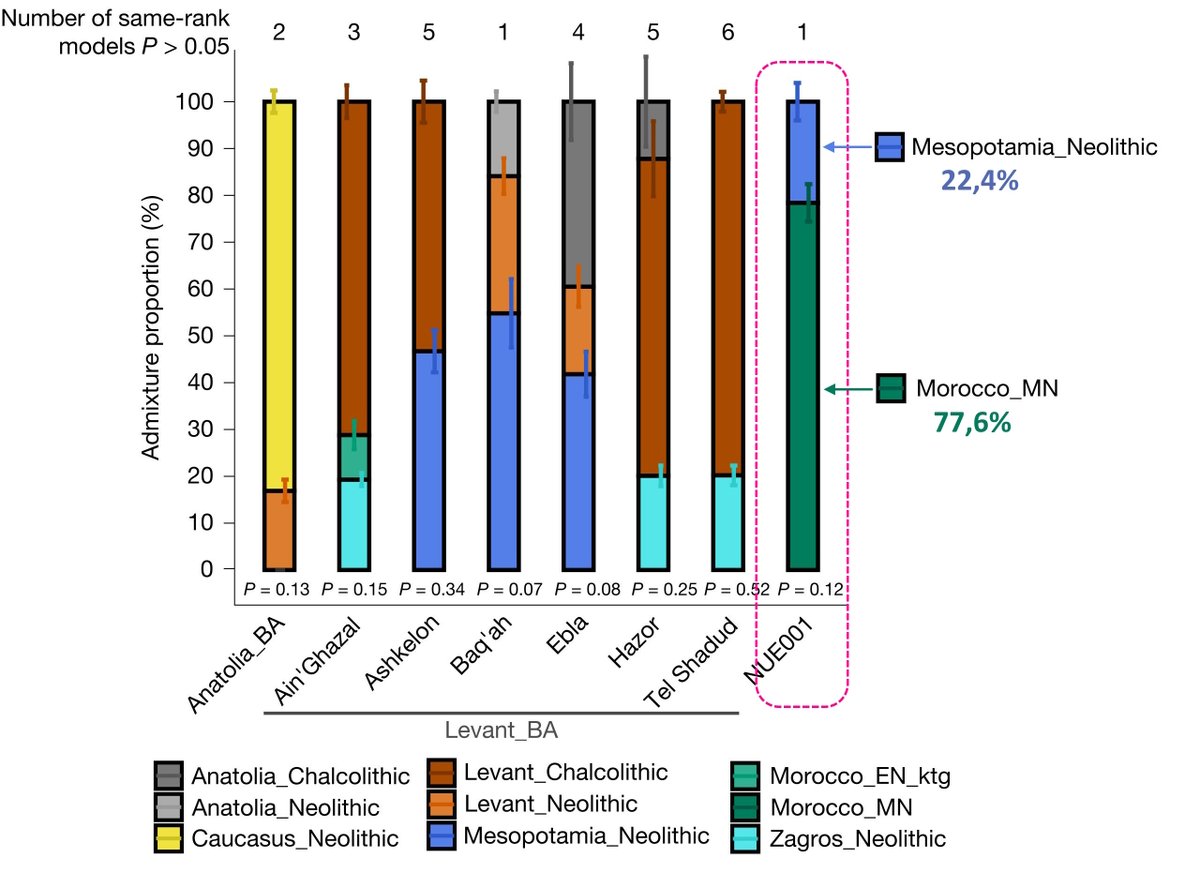 الجـيـنـوم الأثــري ❲ض❳ tweet media