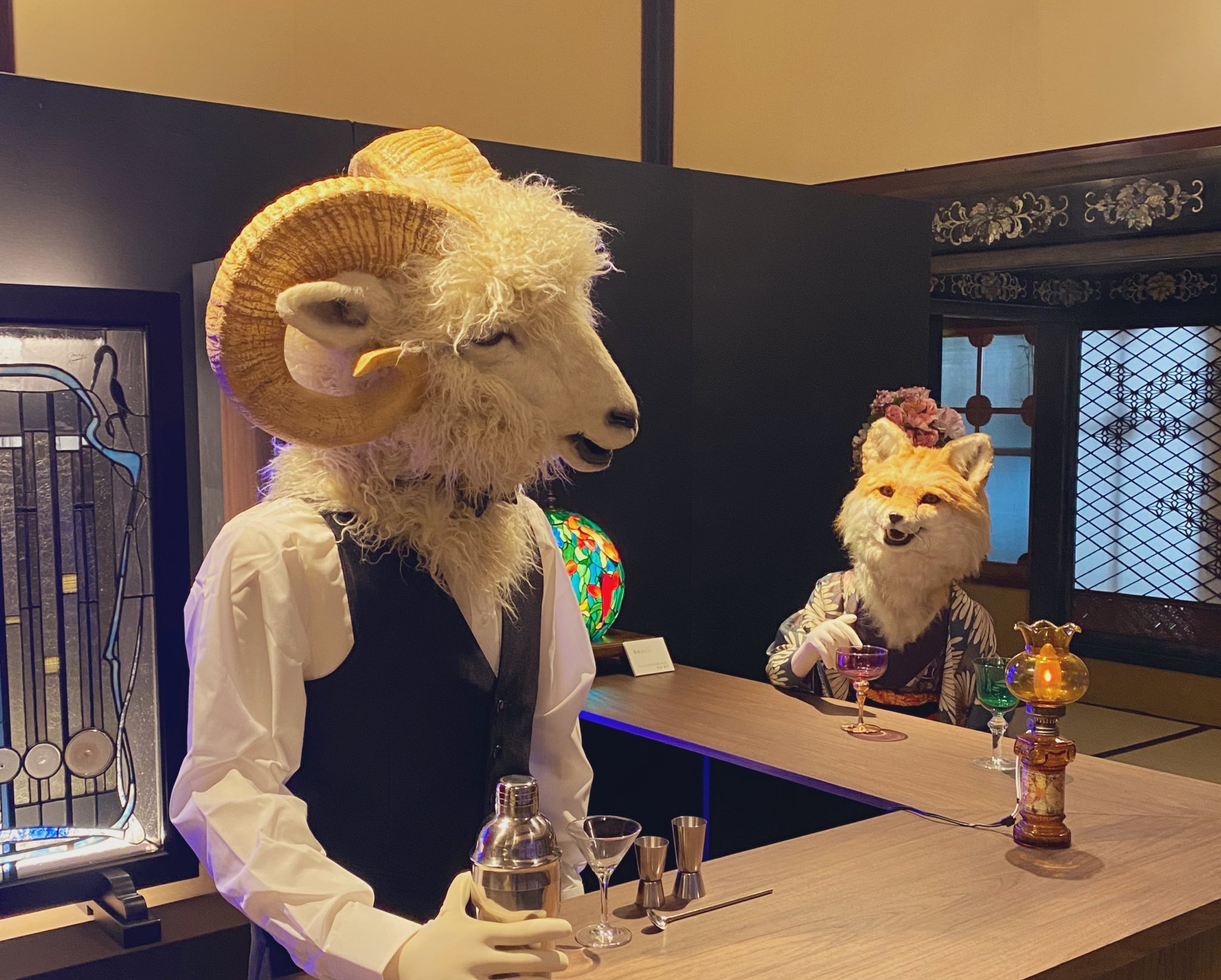 カモノハシです ついに解禁！／ 「TOMIX Nゲージ貨車コム 旅するカモノハシの