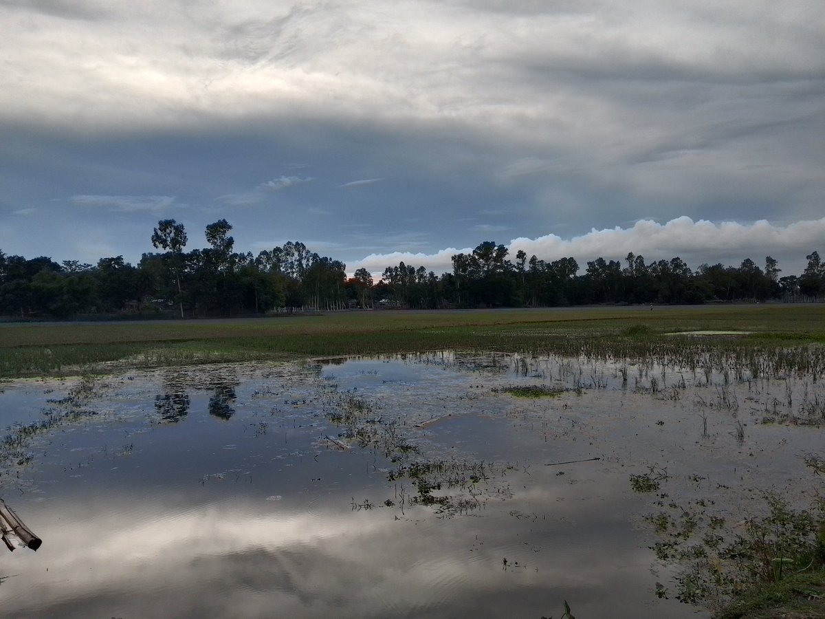 RubelProdhan04's tweet photo. Today view 4:50 pm,Bangladesh🇧🇩🇧🇩🇧🇩✅✅ https://t.co/Gnm1tgSvq1