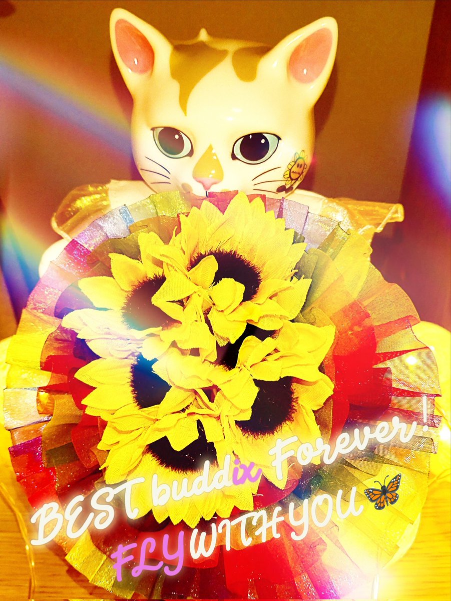 はちみつ385 (@hachimitsu385) / Posts / X