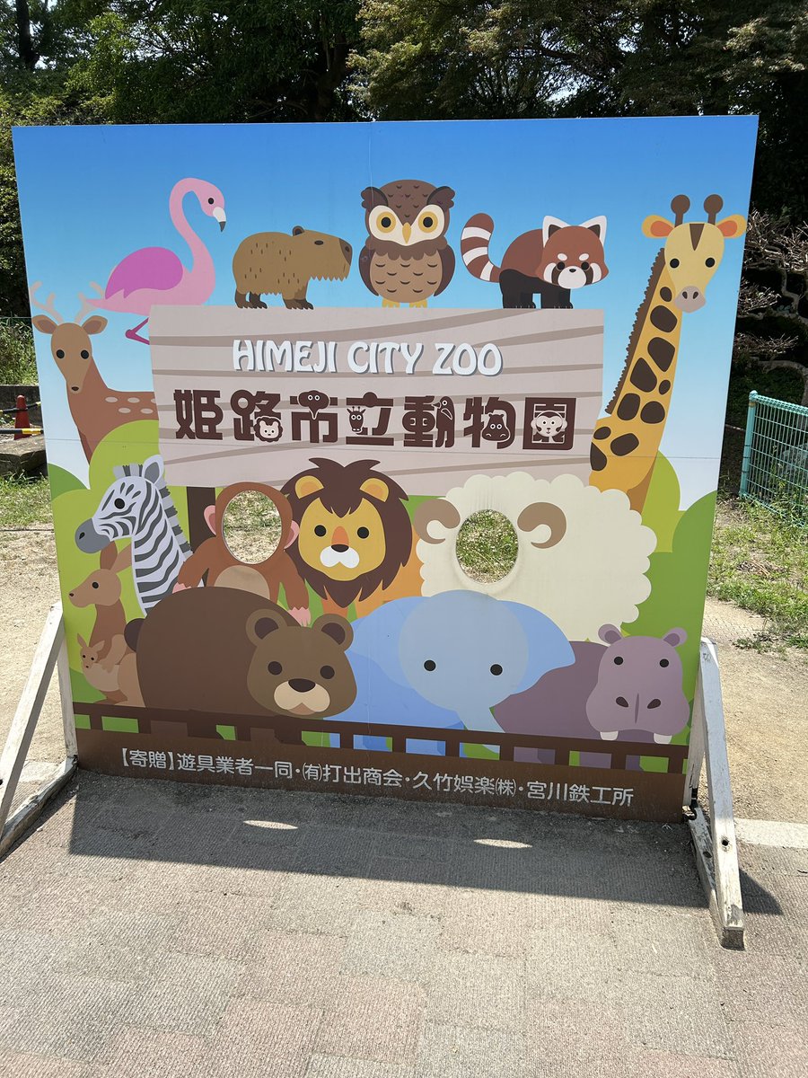 帰りに姫路城寄ろうとしたけど暑くて干からびそうだったので動物園でチルして終了。
