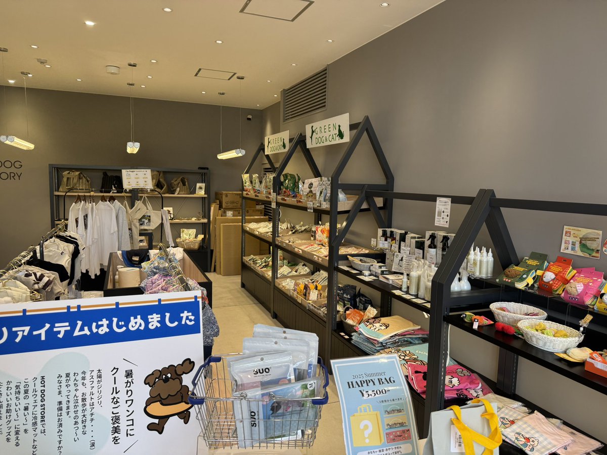 代表戦前に友人が去年有明にOPENしたドッグカフェへ。「有明テニスの森」駅から目と鼻の先にあるURBAN SPORTS PARKの一角で、キムタクのYouTubeでも紹介された爆イケスポット。ドッグランあり、グッズも豊富にラインナップ。お近くの方はぜひ！
hotdogstudio.tokyo/pages/hot-dog-…