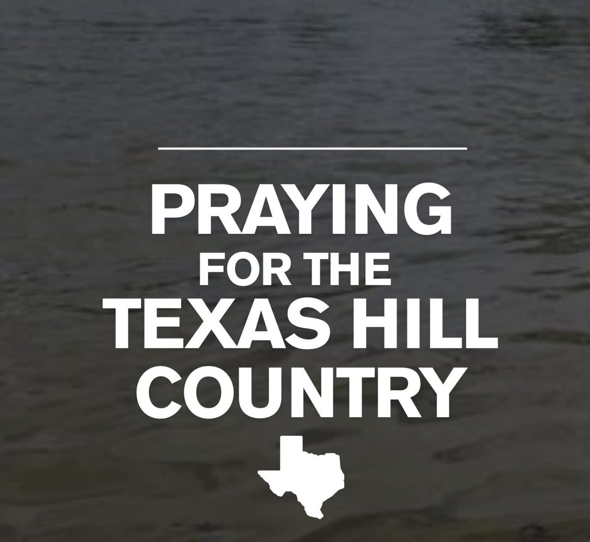 Forrest Davis tweet media