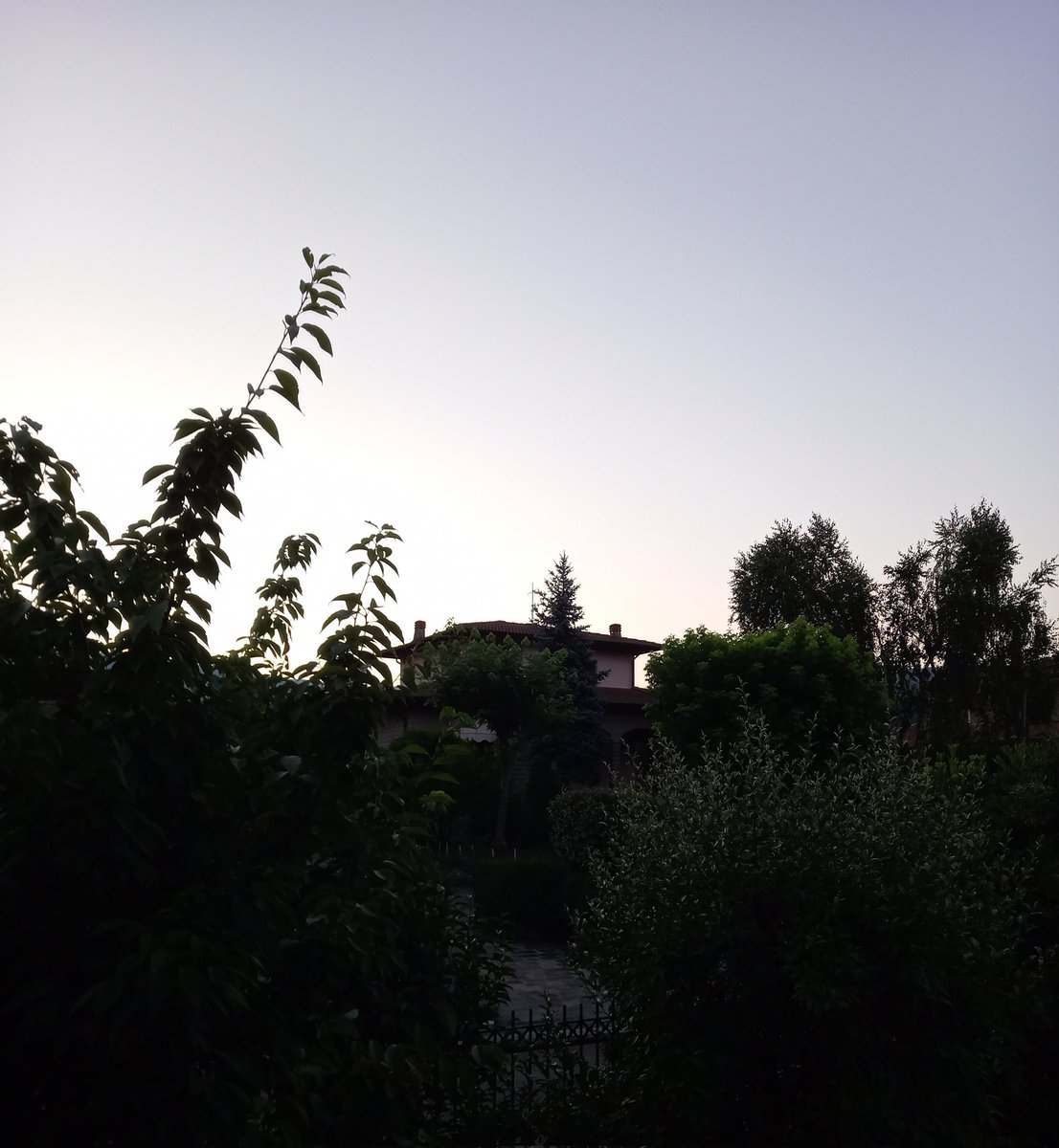 mgra2016's tweet image. #6luglio
Prime luci dell'alba.
Dicono che pioverà!!!!
Buona domenica 🌞☔️💗