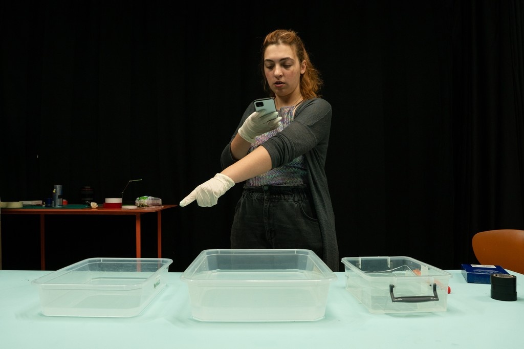 PolishGraphicDesign tweet media