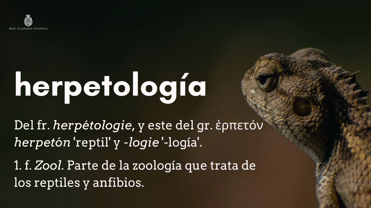 #PalabraDelDía | herpetología

En relación con esta palabra, el «DPD» explica que, aunque procede del latín «reptilis» (voz acentuada en la primera sílaba), lo normal hoy es usar «reptil» como aguda, por lo que debe evitarse la forma llana «réptil»: ow.ly/k3lI50WgUC1.