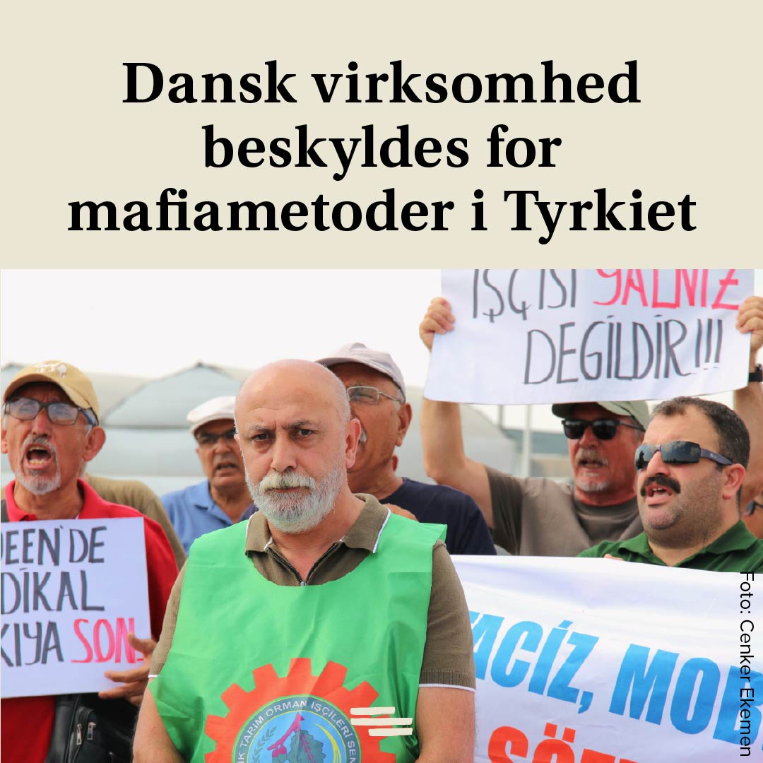 “Forvent at blive skudt i hovedet, hvis ikke du melder dig ud af fagforeningen.”

Sådan lød truslen ifølge en kvindelig ansat på et danskejet gartneri i Tyrkiet, da hun en sen aften blev opsøgt på sin hjemmeadresse. Danwatch har talt med en række medarbejdere, der fortæller om