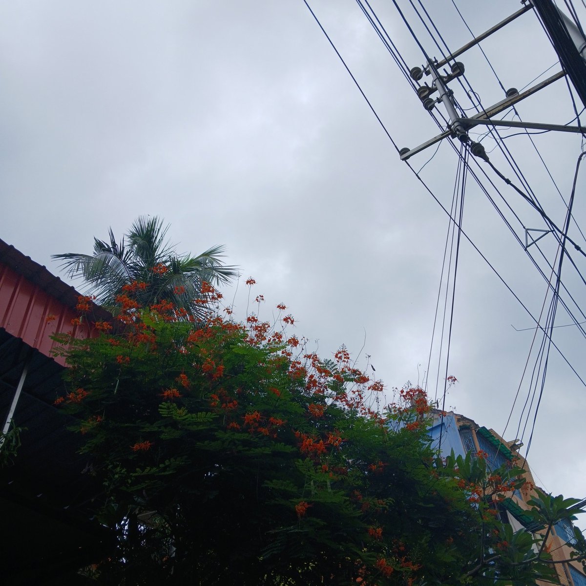 iamroshan_35's tweet image. Kabhi kabhi sochta hun ki itni aachi photography main kaise kar leta hun 😊🫠 #SundayActivity