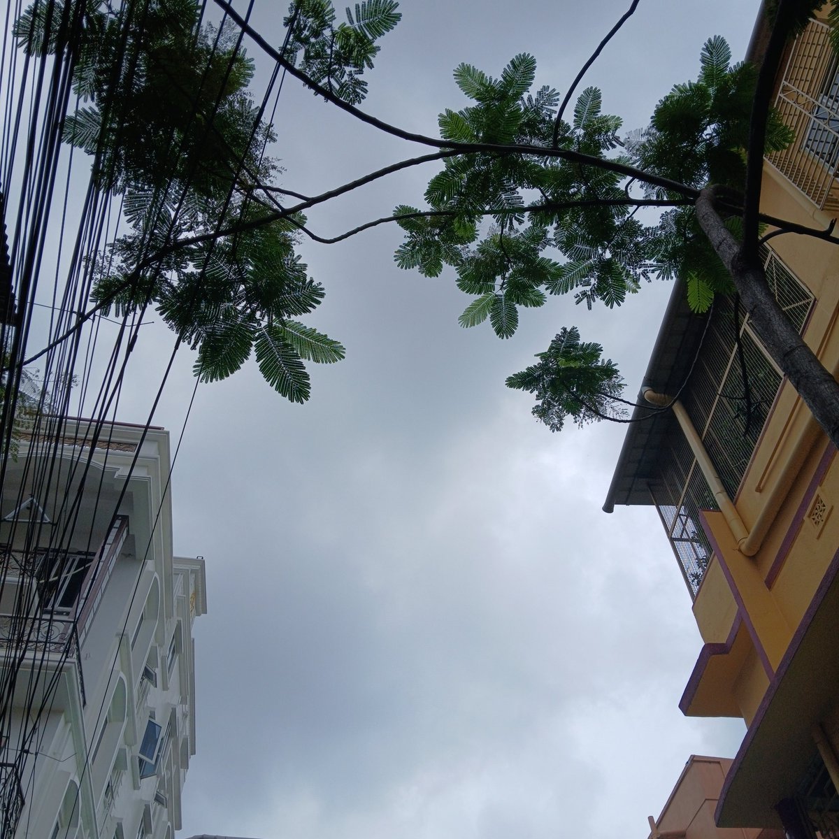 iamroshan_35's tweet image. Kabhi kabhi sochta hun ki itni aachi photography main kaise kar leta hun 😊🫠 #SundayActivity