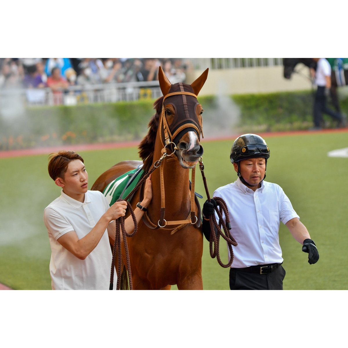 umayama3's tweet image. 2025.07.06 11R北九州記念(GⅢ)@小倉競馬場
アブキールベイ 坂井瑠星騎手(🥉着/7番人気)
古馬相手に小柄な3歳牝馬ながら、よく頑張りました!
この経験を糧にこれからの成長が楽しみです!
#2025ryusei