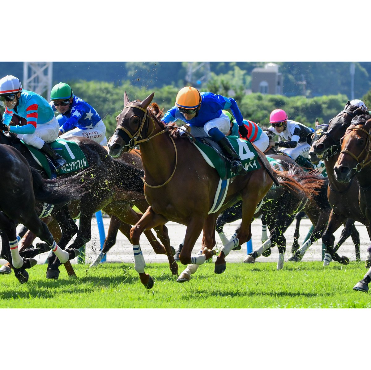 umayama3's tweet image. 2025.07.06 11R北九州記念(GⅢ)@小倉競馬場
アブキールベイ 坂井瑠星騎手(🥉着/7番人気)
古馬相手に小柄な3歳牝馬ながら、よく頑張りました!
この経験を糧にこれからの成長が楽しみです!
#2025ryusei