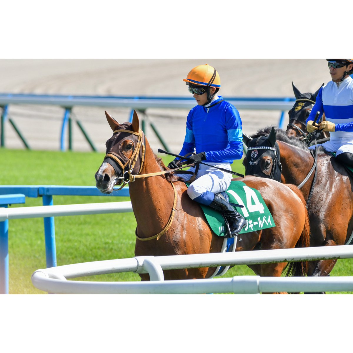 umayama3's tweet image. 2025.07.06 11R北九州記念(GⅢ)@小倉競馬場
アブキールベイ 坂井瑠星騎手(🥉着/7番人気)
古馬相手に小柄な3歳牝馬ながら、よく頑張りました!
この経験を糧にこれからの成長が楽しみです!
#2025ryusei