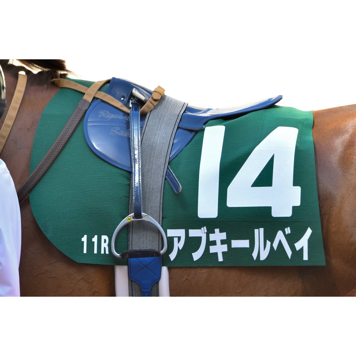 umayama3's tweet image. 2025.07.06 11R北九州記念(GⅢ)@小倉競馬場
アブキールベイ 坂井瑠星騎手(🥉着/7番人気)
古馬相手に小柄な3歳牝馬ながら、よく頑張りました!
この経験を糧にこれからの成長が楽しみです!
#2025ryusei