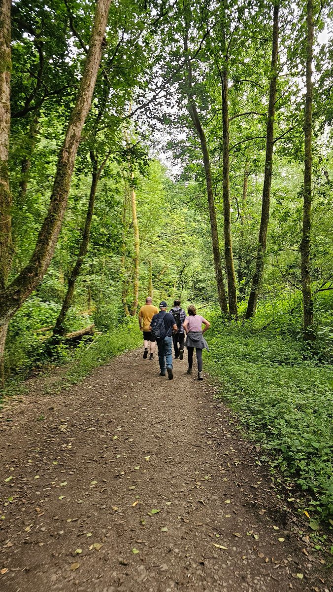 HikingManchest1's tweet image. A lovely evening walk this week around green spaces in #Salford and #Bury

#sundaystrolls #Manchester