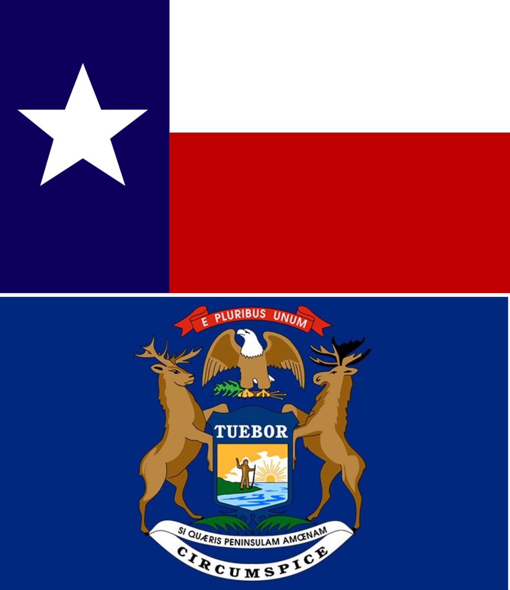 fin313's tweet image. Sending love, hope &amp;amp; strength to Texas from Michigan 
🤝 🫂 
#TexasFloods