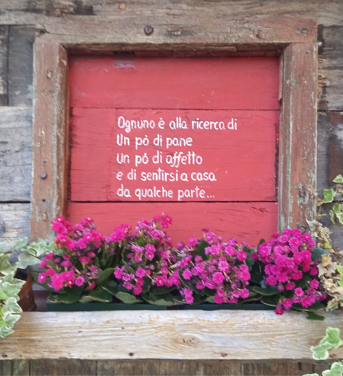 mgra2016's tweet image. Buona domenica ❤️