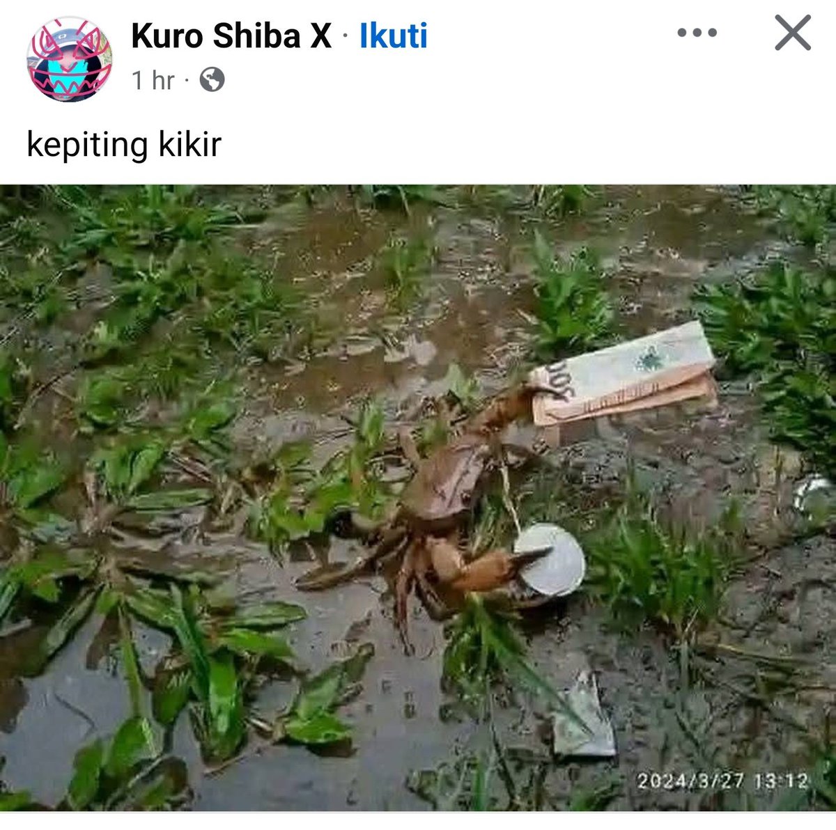 KucengTerbanggg's tweet photo. https://t.co/g15cN89bPY