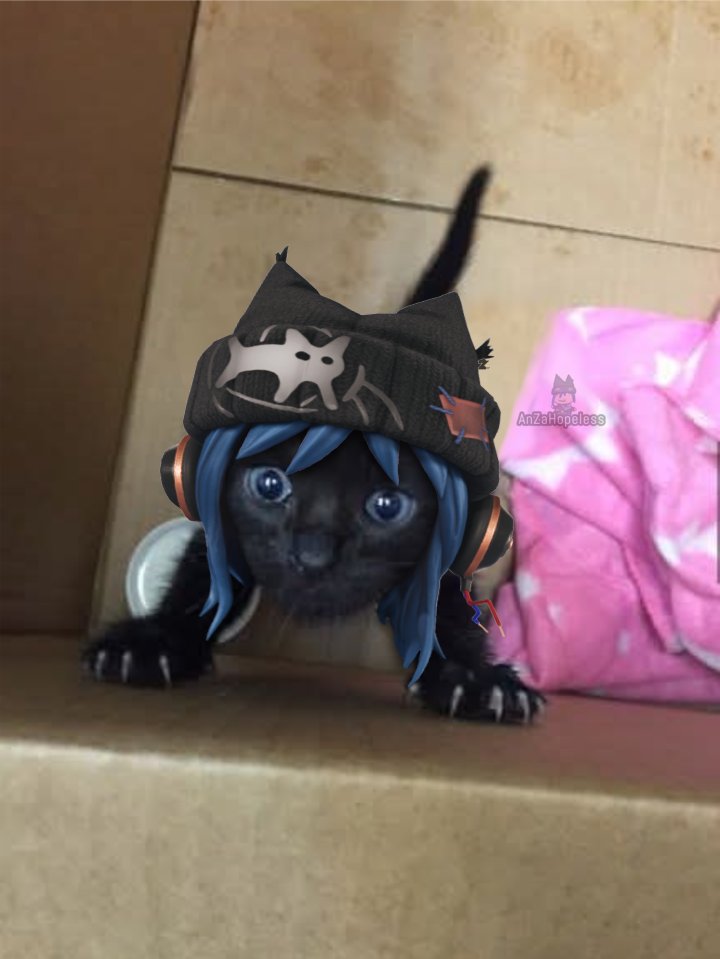 AnZaHopeless's tweet image. Hope