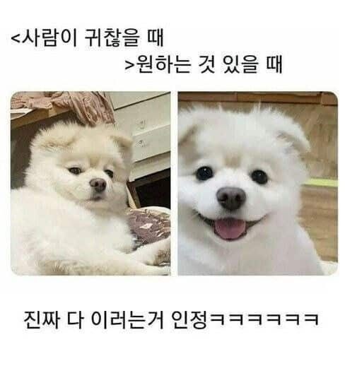 내좋짤 (@zazazazaz_) on Twitter photo 