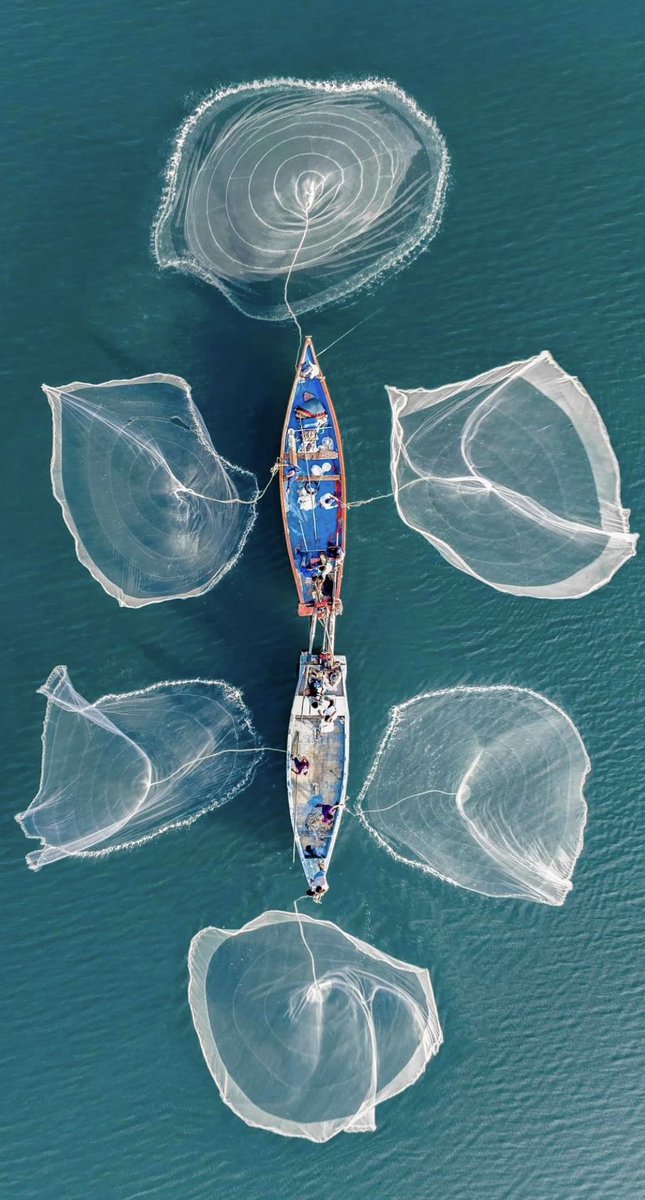 “Tutti i meccanismi vitali, per quanto siano vari, non hanno altro che un fine costante: quello di mantenere l’unità delle condizioni di vita dell’ambiente interno.”

Claude Bernard

#Apertura2025 dei #VentagliDiParole 06/07