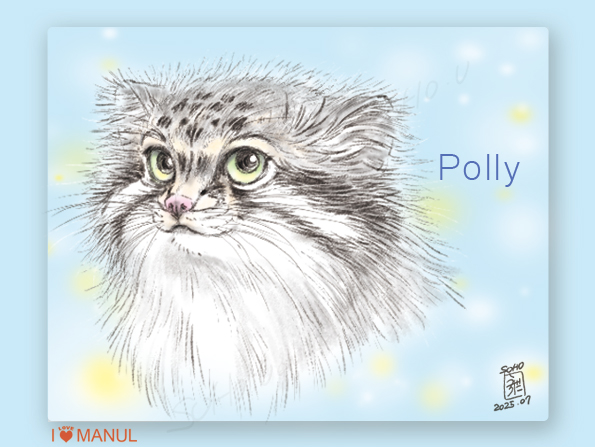 SohoUchida's tweet photo. マヌルイラスト練習中🐱
ポリーはネットの画像や本でしか見たことがなかったけれど実際に会っていれば もっとイメージとかつかめただろな。
#マヌルネコ #manul #Otocolobusmanul #pallascat #Манул #wildcats #マヌルネコイラスト #manuli #猫イラスト #Grumpycat #cat #兔狲 https://t.co/SHHV1E93Rq