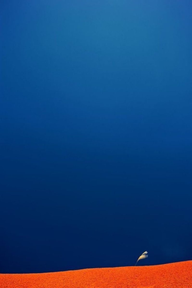 Buongiorno naviganti tra i #VentagliDiParole e buona #DomenicaDEstate, #6luglio!

Oggi rilancio un nostro vecchio hashtag ispirato da una frase di James Joyce: facciamo che queste giornate siano 

#ComeUnEco ❤️ 

prestando attenzione a ciò che “inviamo”.

Vi aspetto 🥰🥰🥰