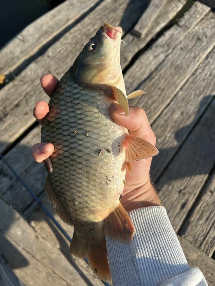 Та вони іздіваються з мене