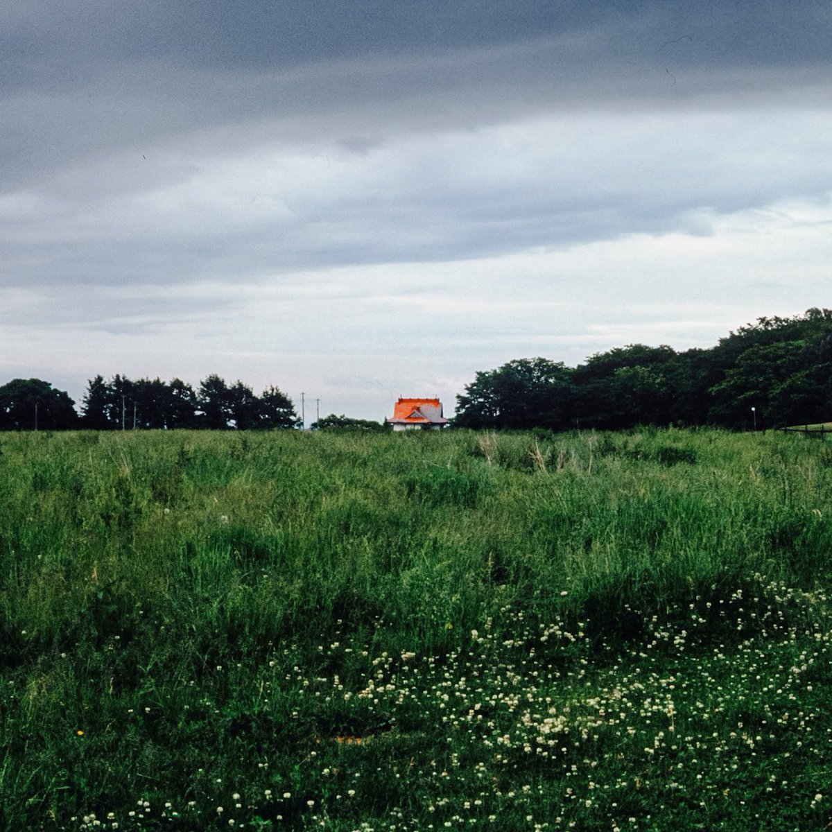 ヌ一べル (@obladi__blada) on Twitter photo 