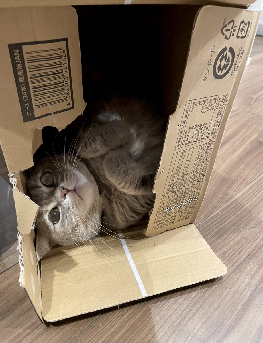 ♡おんぷ♡ Black】ハートジップアップフーディー /Heart Zip-up Hoodie | FI