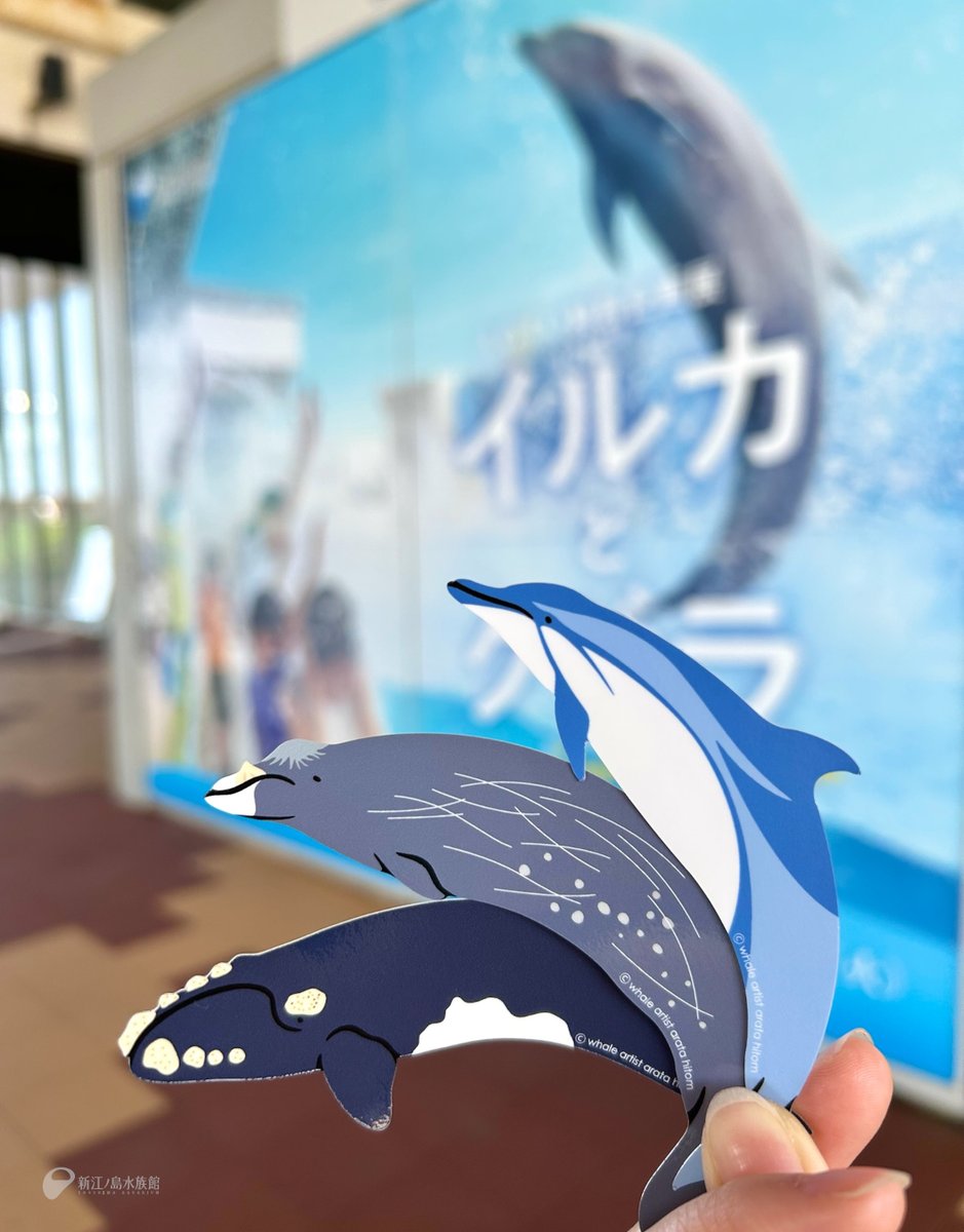 えのすい特別企画展「イルカとクジラ」の開催期間中にご利用可能な