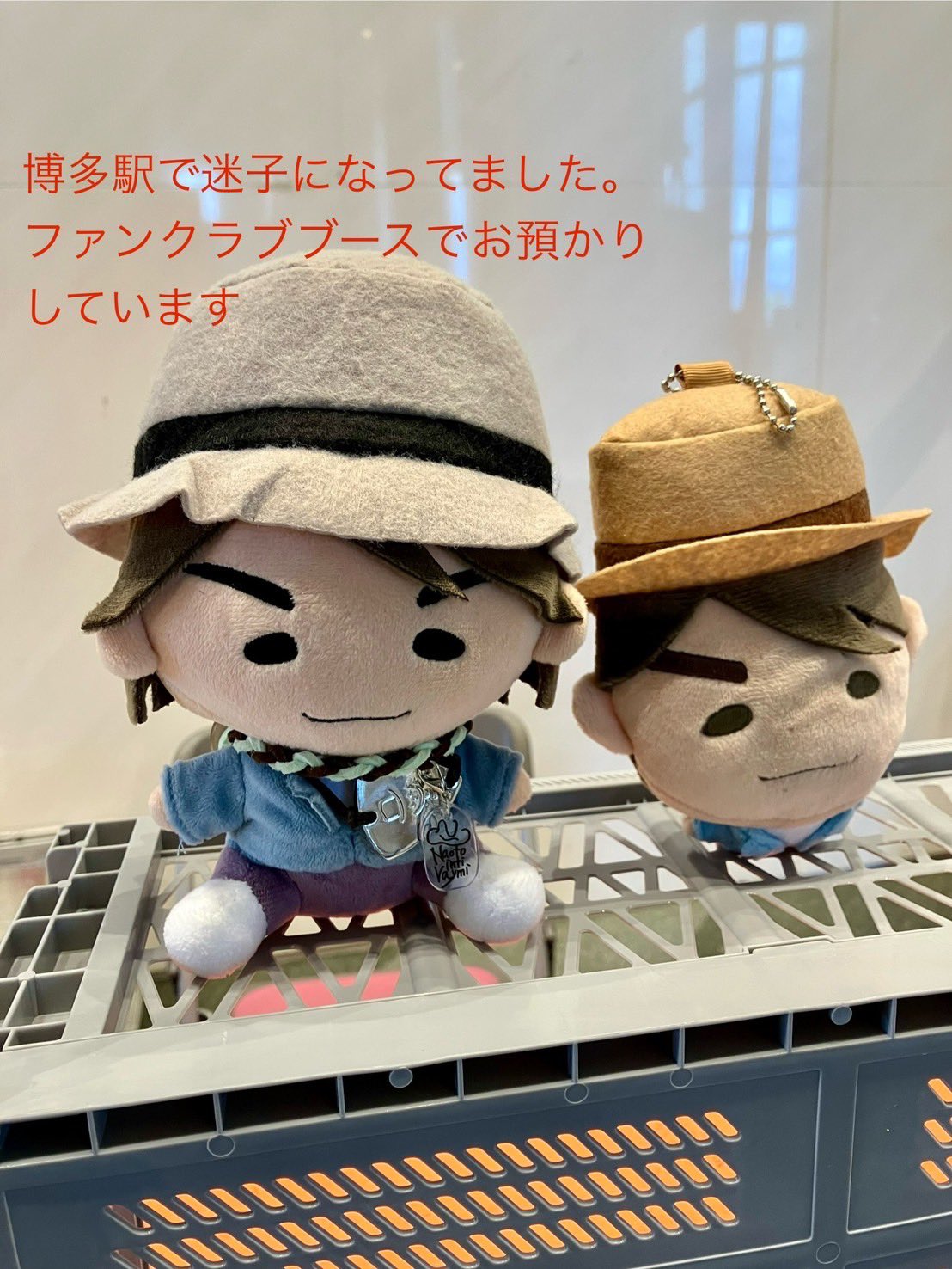 ナオト・インティライミ　ぬいぐるみ Naoto / ナオト・インティライミ on X: 