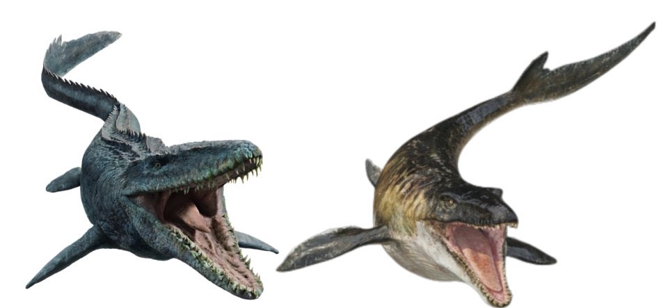 Knight_Steve tweet media