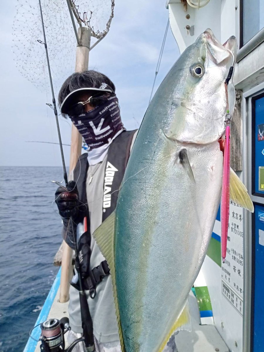 APPLAUD0030's tweet photo. 潮流3ノットかっ飛び潮の中、順調にワラサが釣れましたよ。本日は心地よい筋肉痛ですわ^ ^

 #PR #若栄丸 #外房 #大原港 #ジギング #サンヨーナイロン #APPLAUD #アプロード #tailwalk #テイルウォーク #爆釣ジグ #EDUCE #エデュース #釣り #釣り好きな人と繋がりたい https://t.co/kNMgbXRleG
