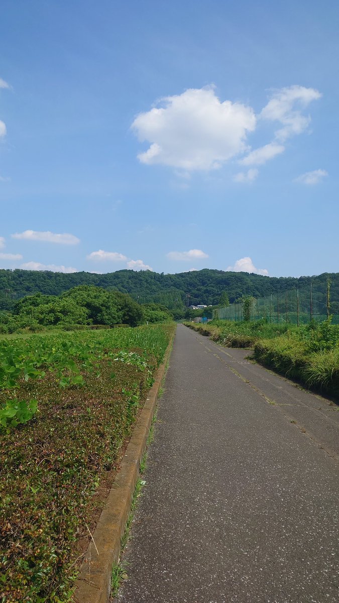 トム・ブラウンのオールナイトニッポン聞いて寝てから

公園来てウォーキング✨🏃