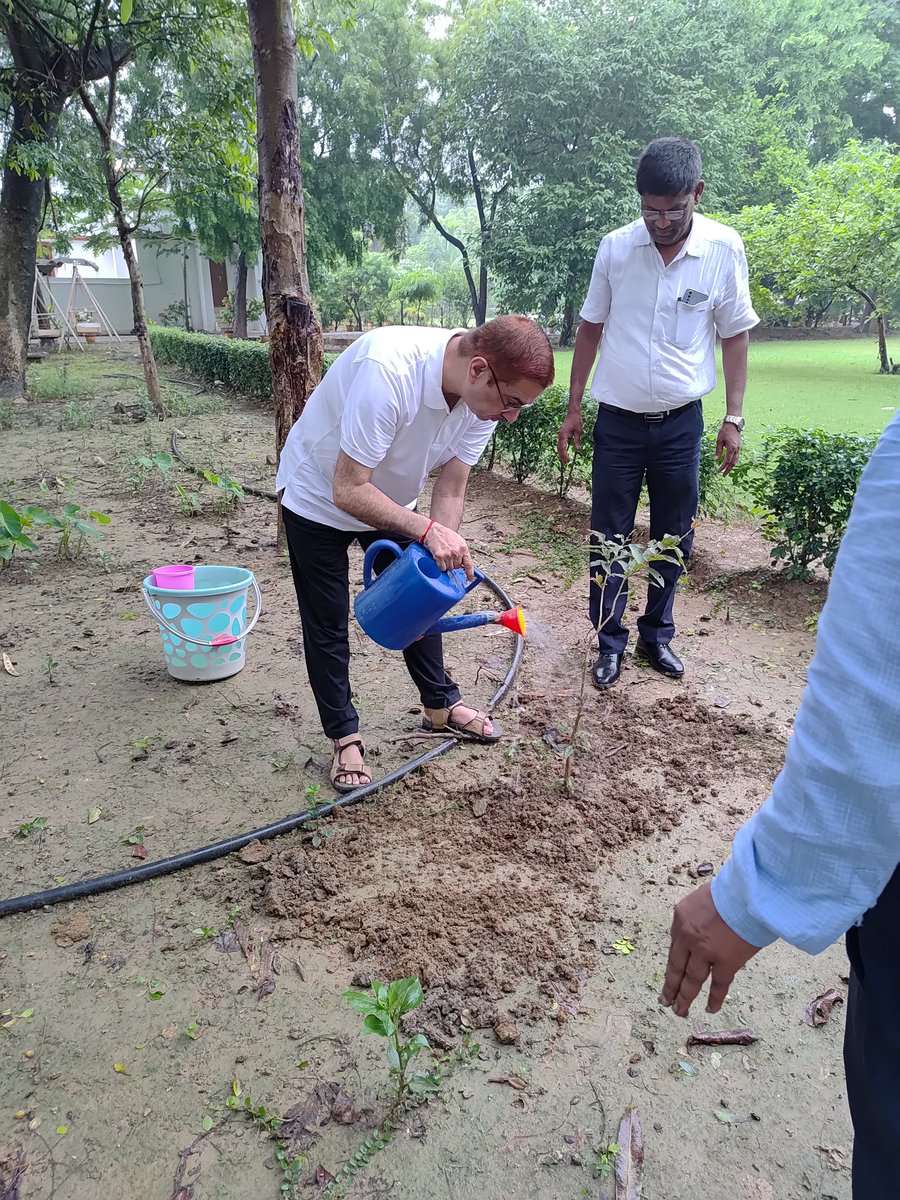 रेशम विभाग द्वारा आज जिलाधिकारी आवास में अर्जुन के पौधों का रोपण कराया गया। 
#वन_महोत्‍सव