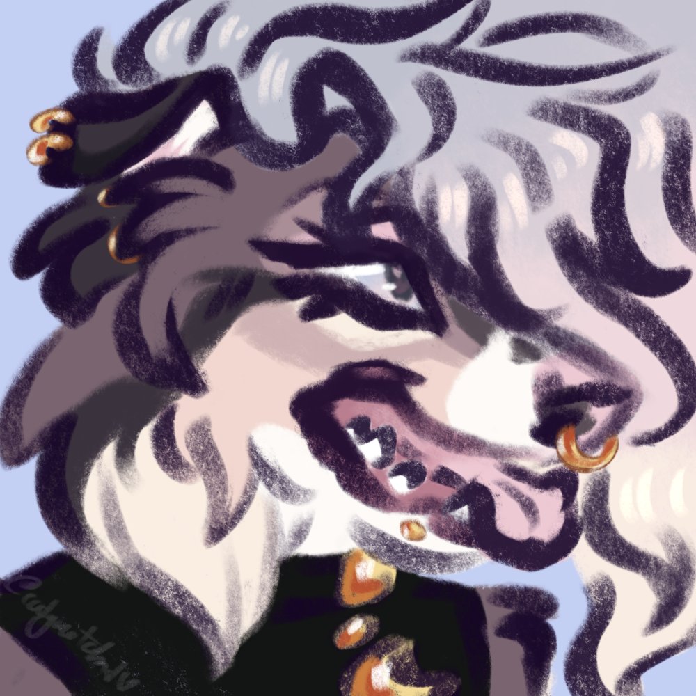 🌻Dumbass Dog 🌻 tweet media