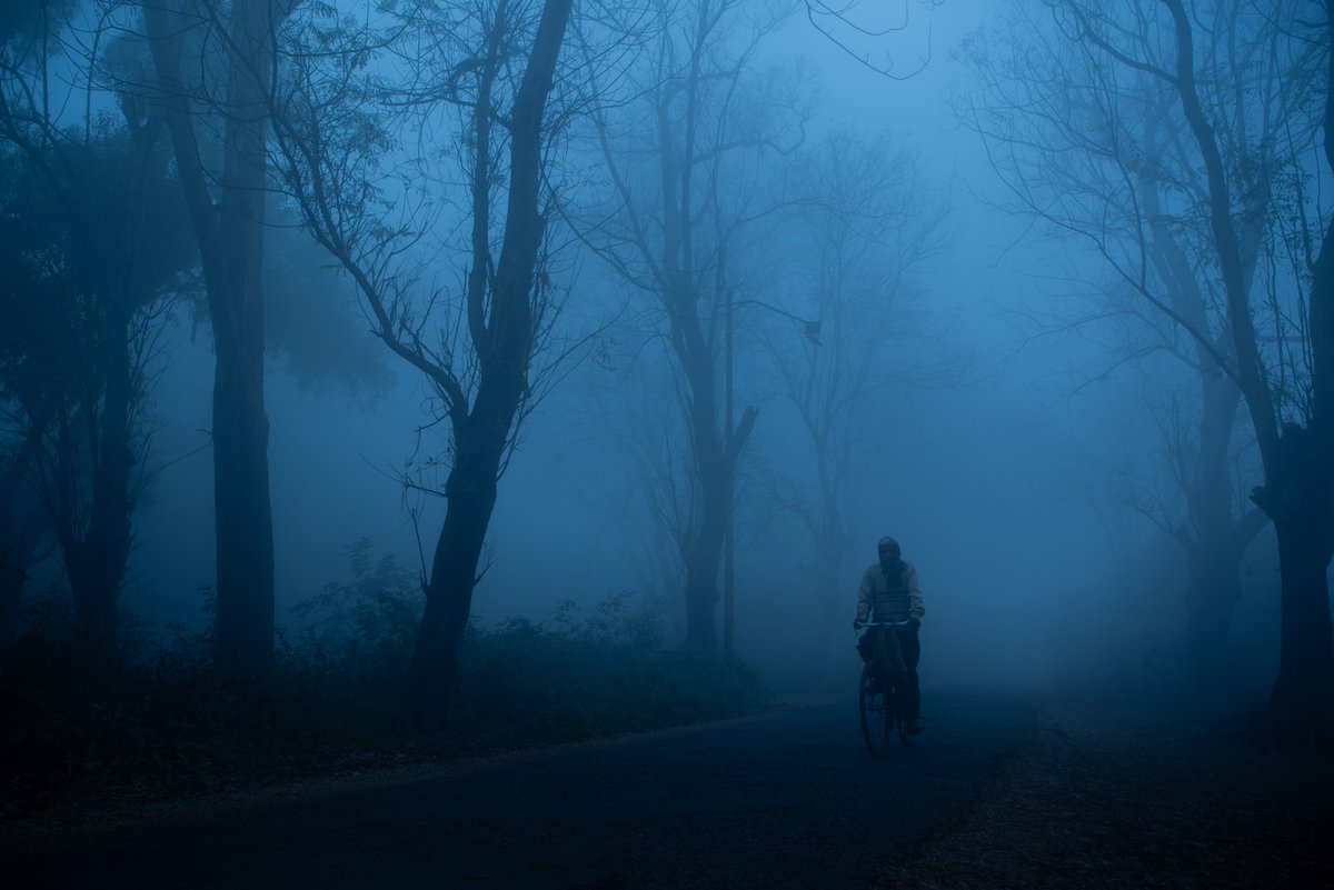 subhrojitdeyFWD's tweet image. Sharing some of my photography on @objktcom 📸

1. "The Morning Choir" - 5 ꜩ
2. "Song of the House" - 10 ꜩ
3. "Early morning blues" - 10 ꜩ 
4. "At day’s end" - 10 ꜩ 

objkt.com/users/tz1d2xNv…