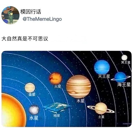 媒体预览