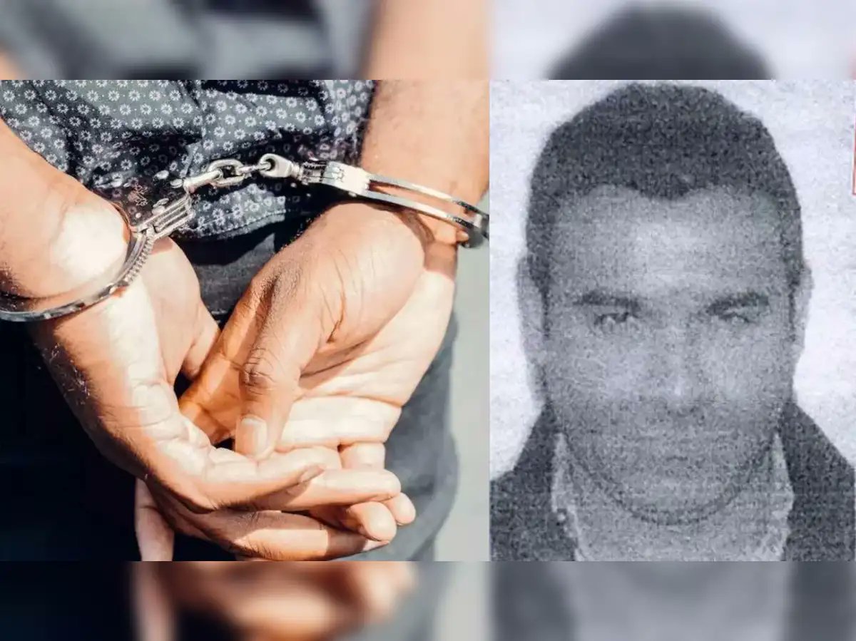 Nirav Modi's brother Nehal Modi, who is also implicated in the PNB scam case, has been taken into custody in the USA following extradition requests submitted by the ED and CBI on counts of money laundering and criminal conspiracy.