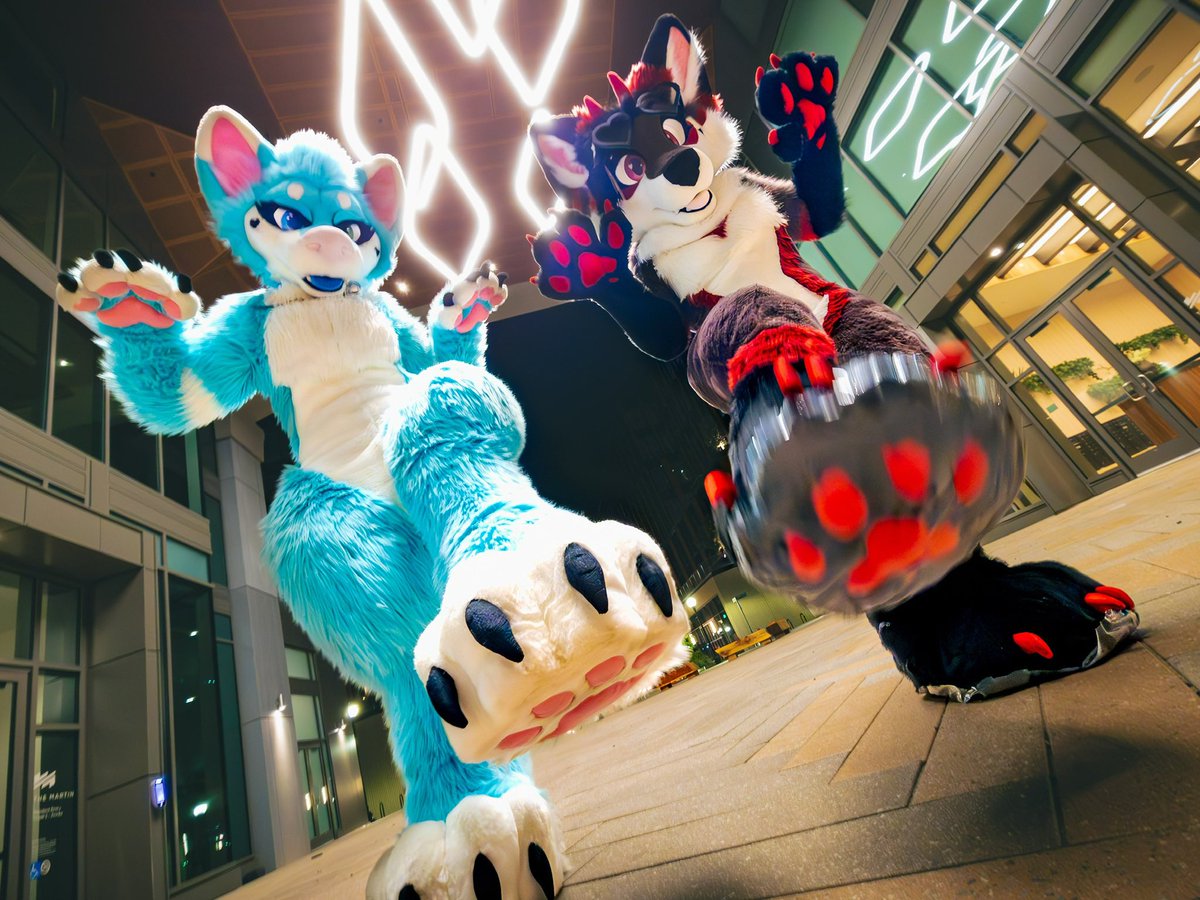 KaiVixie's tweet image. Whoโs ready for some Saturday night stompies ๐๐ค
Ft. pubby @CosmicSaturnn ๐
๐ธ: @Starburst_Shark