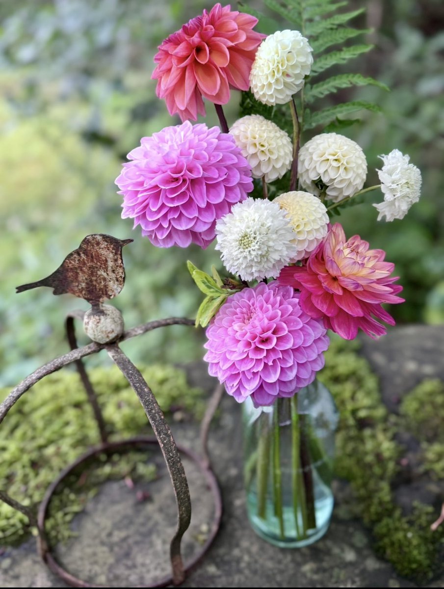 Good morning 
Rain forecast again, we really need it so 🤞
A much more gentle day planned today (compared with my normal Sundays) but no doubt there will be time spent in the garden! 
Enjoy your day 🌱