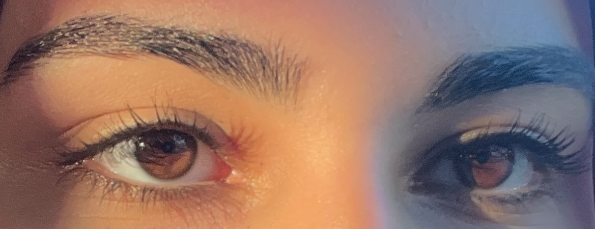 ShahdShawkat's tweet photo. Brown eyes for the win https://t.co/ADSurMvd0d