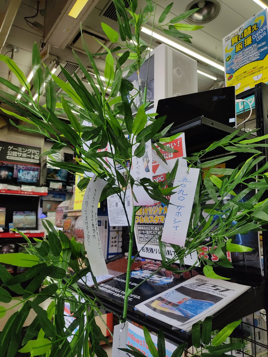 明日は七夕🎋
店頭に笹と短冊用意してみました～
願い事書けます🖊
来れない方は
コメントで願い事を書き込みしてみては？